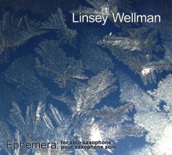 04_Linsey_Wellman